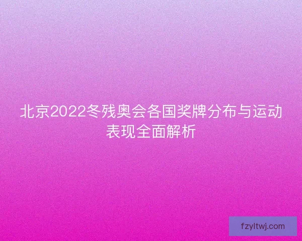 北京2022冬残奥会各国奖牌分布与运动表现全面解析