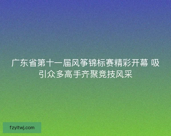 广东省第十一届风筝锦标赛精彩开幕 吸引众多高手齐聚竞技风采