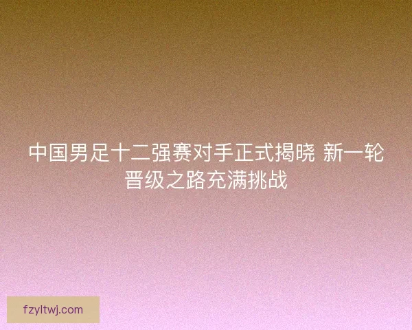 中国男足十二强赛对手正式揭晓 新一轮晋级之路充满挑战