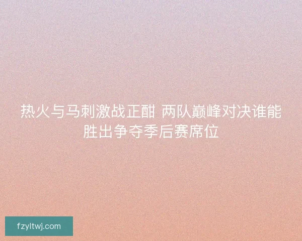 热火与马刺激战正酣 两队巅峰对决谁能胜出争夺季后赛席位